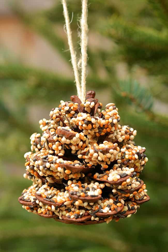 🪶 How to Make Pinecone Bird Feeders - Little Dreamers Club