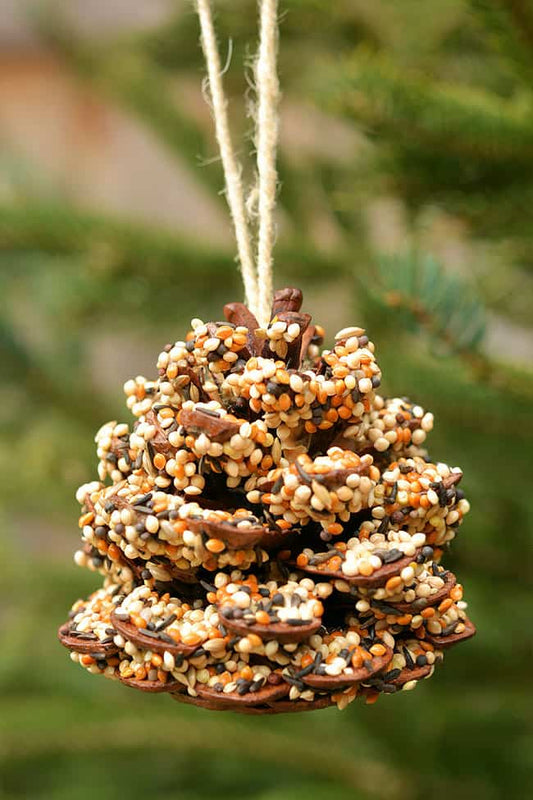 🪶 How to Make Pinecone Bird Feeders - Little Dreamers Club