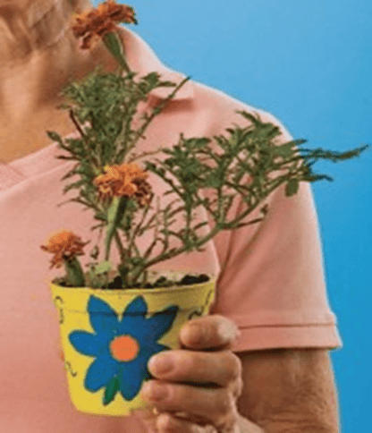 Person holding a potted plant with a blue and yellow pot against a blue background