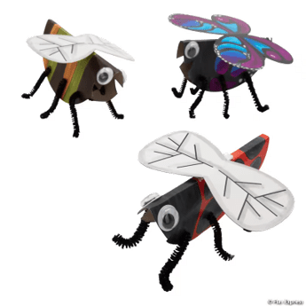 Three colorful bug crafts on a transparent background