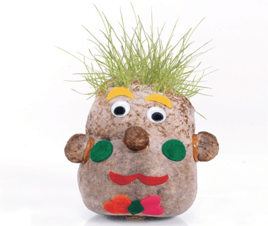 Decorative plant with grass hair, googly eyes, and colorful facial features on a white background