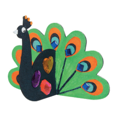 Peacock feather design on a transparent background